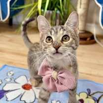 Thumbnail photo of Luna Lopez #1