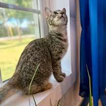 Thumbnail photo of Luna Lopez #3