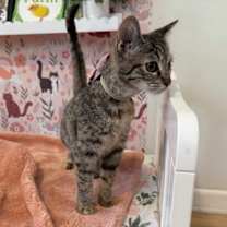 Thumbnail photo of Luna Lopez #4