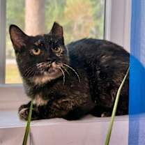 Thumbnail photo of Rosita Lopez #1