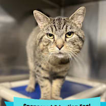 Thumbnail photo of Coconut Cheeks #1