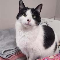 Thumbnail photo of Polar #1