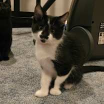 Thumbnail photo of Spark #1