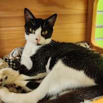 Thumbnail photo of Remedy #3