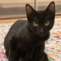 Thumbnail photo of Bean #1