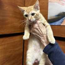 Thumbnail photo of Milky Way #2