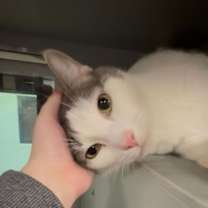 Thumbnail photo of Victor #1