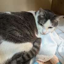 Thumbnail photo of Victor #2