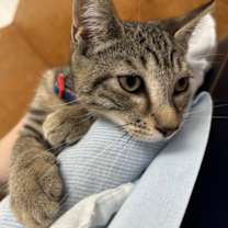 Thumbnail photo of Timmy #3