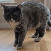 Thumbnail photo of Harold #2