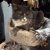 Thumbnail photo of Harold #3