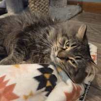 Thumbnail photo of Ted #2