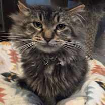 Thumbnail photo of Ted #3