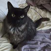 Thumbnail photo of Luna #3