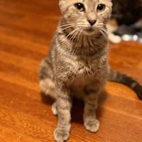 Thumbnail photo of Sweetpea #3