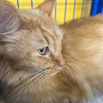 Thumbnail photo of Fred #1