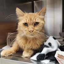 Thumbnail photo of Fred #2