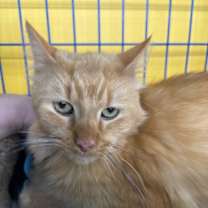 Thumbnail photo of Fred #3