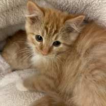 Thumbnail photo of Muesli #2