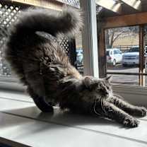 Thumbnail photo of Diamond #3