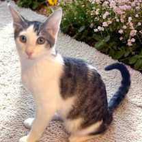 Thumbnail photo of Otis #1