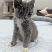 Thumbnail photo of Bond (bonded w/ Moneypenny) #2