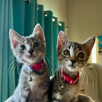 Thumbnail photo of Marley #1