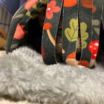 Thumbnail photo of GOOP #2