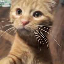 Thumbnail photo of 16 #1