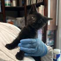 Thumbnail photo of Glacier #1