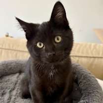 Thumbnail photo of Bobby Brady #1