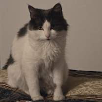 Thumbnail photo of Sabrina #1