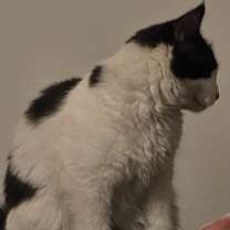 Thumbnail photo of Sabrina #2