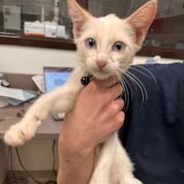 Thumbnail photo of Dr C #1