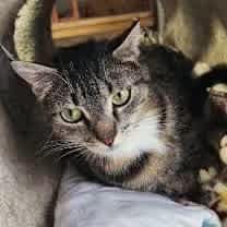 Thumbnail photo of Joy #2