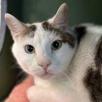 Thumbnail photo of Byron #1