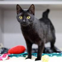 Thumbnail photo of Galaxy #3