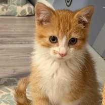 Thumbnail photo of Peter #1