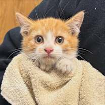 Thumbnail photo of Peter #2