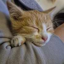 Thumbnail photo of Peter #3