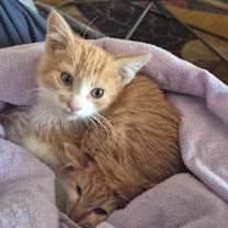 Thumbnail photo of Peter #4