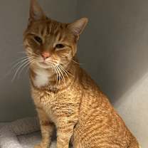 Thumbnail photo of Dean #2