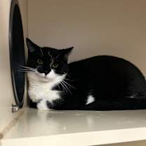 Thumbnail photo of Theo #2