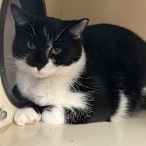 Thumbnail photo of Theo #3