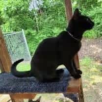 Thumbnail photo of Brooklyn #4