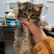 Thumbnail photo of Stefan #2