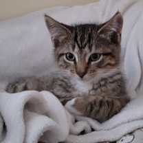 Thumbnail photo of Fred #2