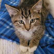 Thumbnail photo of Fred #3