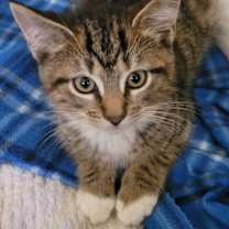 Thumbnail photo of Fred #4