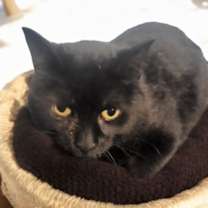 Thumbnail photo of Veronica #4